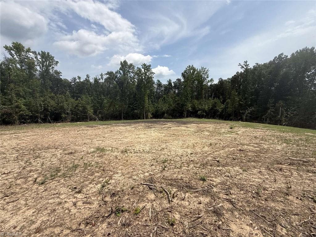 Unimproved Land at 1011 Mill Ridge Road, Providence NC 27315, photo 13 of 14