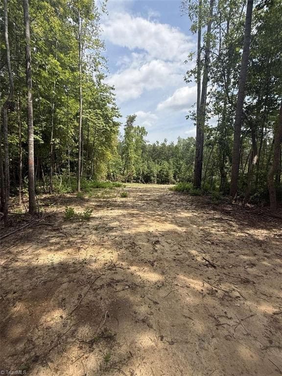 Unimproved Land at 1011 Mill Ridge Road, Providence NC 27315, photo 7 of 14