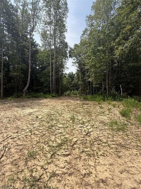 Unimproved Land at 1011 Mill Ridge Road, Providence NC 27315, photo 9 of 14