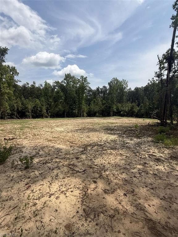 Unimproved Land at 1011 Mill Ridge Road, Providence NC 27315, photo 8 of 14