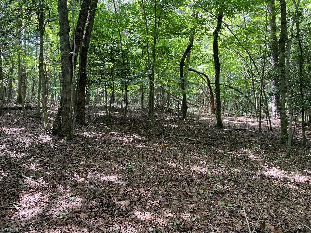 Unimproved Land at 0 Sawyer Road, Hays NC 28635, photo 6 of 17
