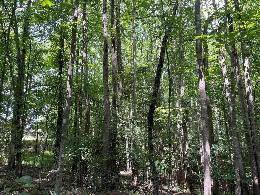 Unimproved Land at 0 Sawyer Road, Hays NC 28635, photo 12 of 17