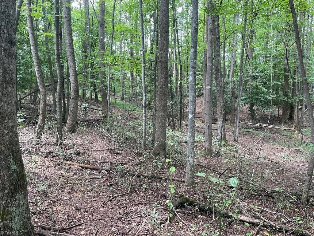 Unimproved Land at 0 Sawyer Road, Hays NC 28635, photo 7 of 17
