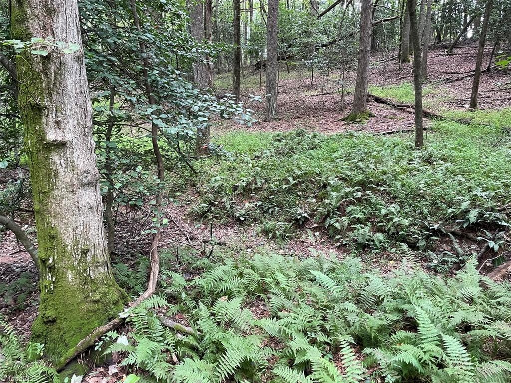 Unimproved Land at 0 Sawyer Road, Hays NC 28635, photo 9 of 17
