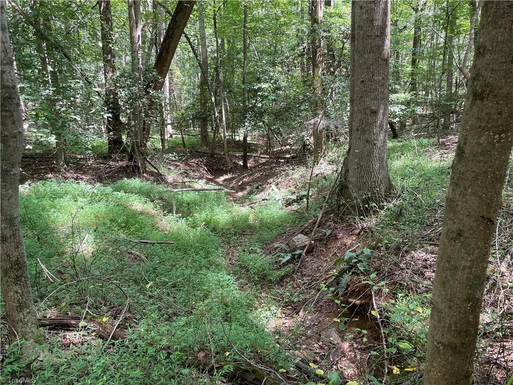 Unimproved Land at 0 Sawyer Road, Hays NC 28635, photo 14 of 17