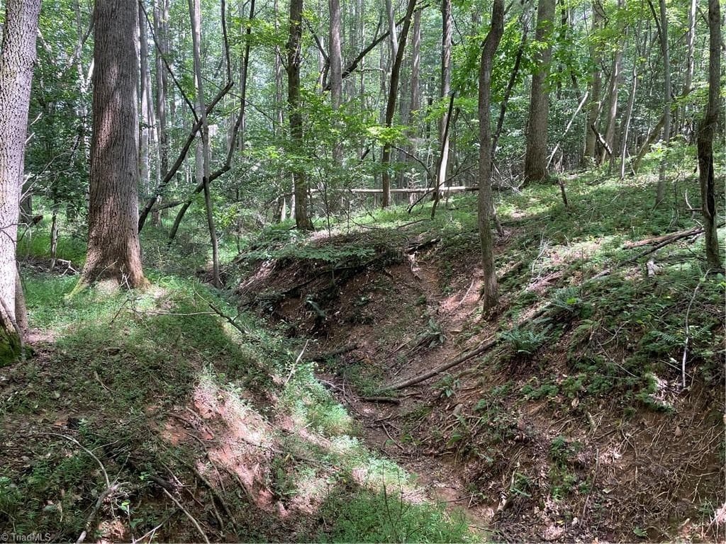 Unimproved Land at 0 Sawyer Road, Hays NC 28635, photo 15 of 17