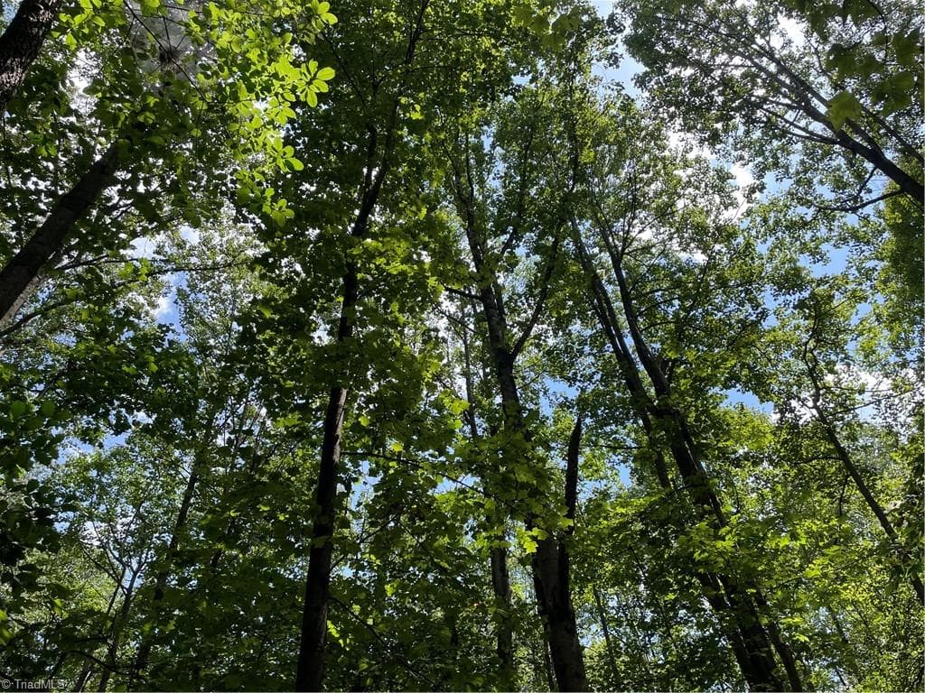 Unimproved Land at 0 Sawyer Road, Hays NC 28635, photo 11 of 17