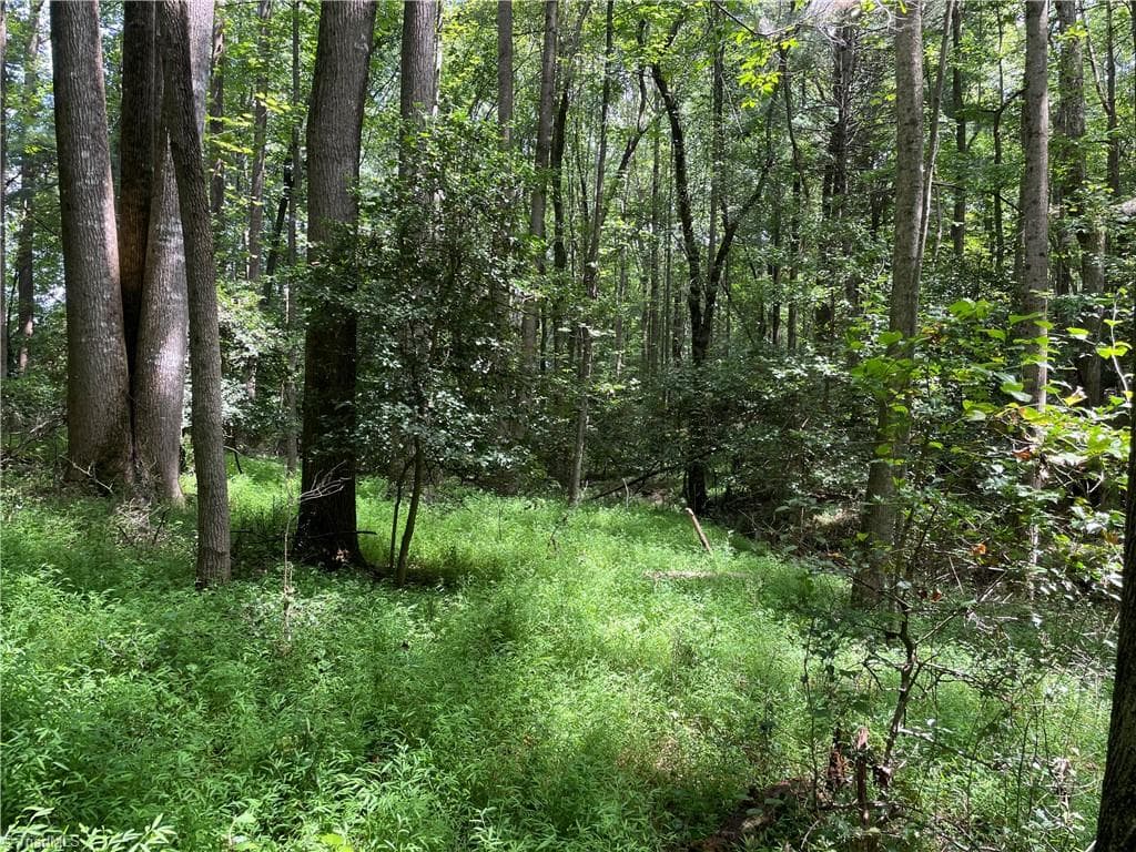 Unimproved Land at 0 Sawyer Road, Hays NC 28635, photo 8 of 17