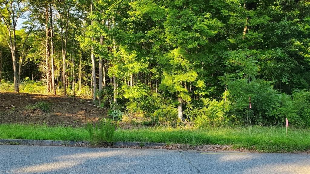 Single Family Residence at 0 Wilson Street, Lexington NC 27292, Lexington, photo 4 of 6