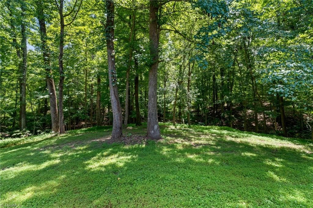 Stick/Site Built at 1931 Chestnut Street, High Point NC 27262, High Point, photo 85 of 100