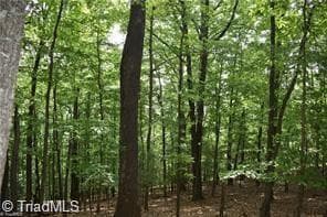4 Greenstreet Drive, Traphill NC 28685