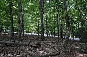 Single Family Residence at 71 Grandview Drive, Traphill NC 28685, photo 6 of 10
