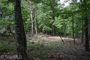 71 Grandview Drive, Traphill NC 28685