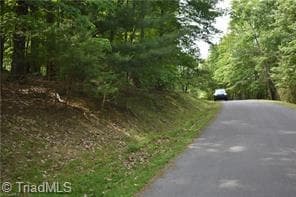 Single Family Residence at 71 Grandview Drive, Traphill NC 28685, photo 5 of 10