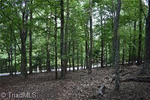 Single Family Residence at 71 Grandview Drive, Traphill NC 28685, photo 9 of 10