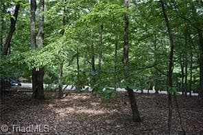 Single Family Residence at 71 Grandview Drive, Traphill NC 28685, photo 10 of 10