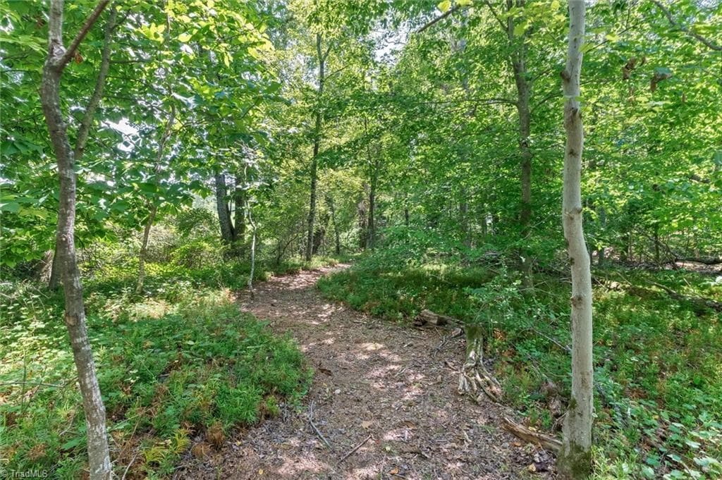 Stick/Site Built at 183 Key Valley Trail, Mount Airy NC 27030, Mount Airy, photo 53 of 84