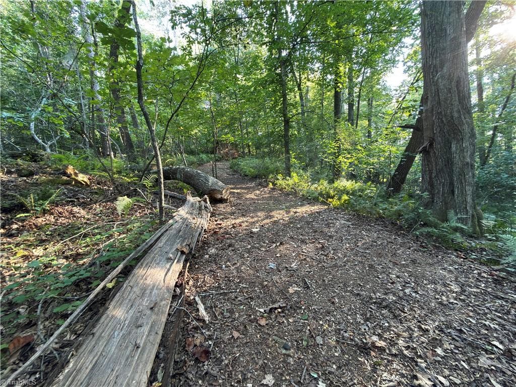 Stick/Site Built at 183 Key Valley Trail, Mount Airy NC 27030, Mount Airy, photo 83 of 84