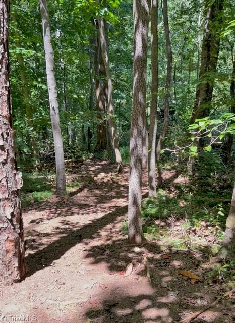 Stick/Site Built at 183 Key Valley Trail, Mount Airy NC 27030, Mount Airy, photo 55 of 84