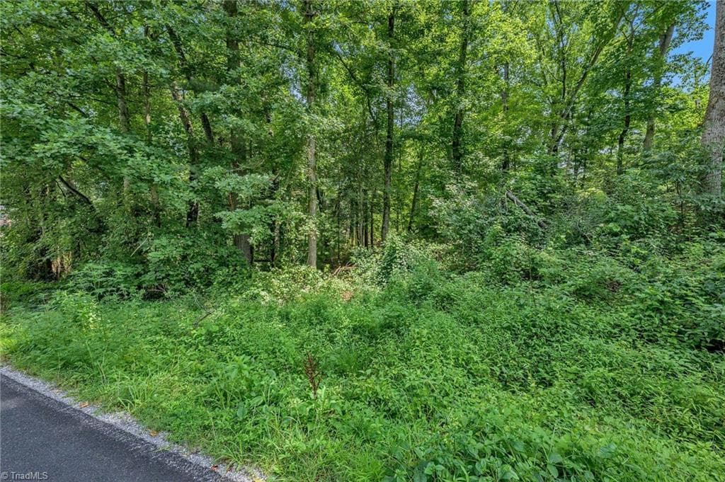 Unimproved Land at TBD Raven Oak Drive, Wilkesboro NC 28697, photo 2 of 14