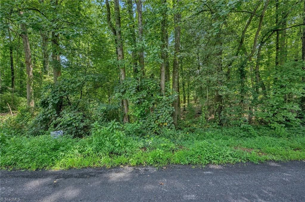 Unimproved Land at TBD Raven Oak Drive, Wilkesboro NC 28697, photo 7 of 14