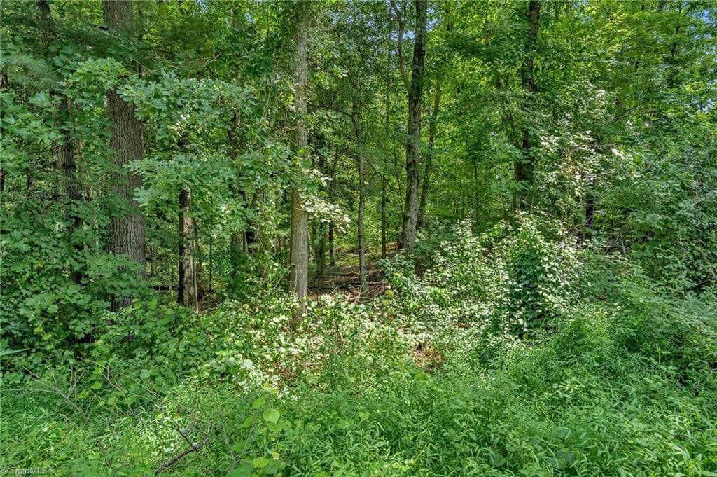 Unimproved Land at TBD Raven Oak Drive, Wilkesboro NC 28697, photo 3 of 14