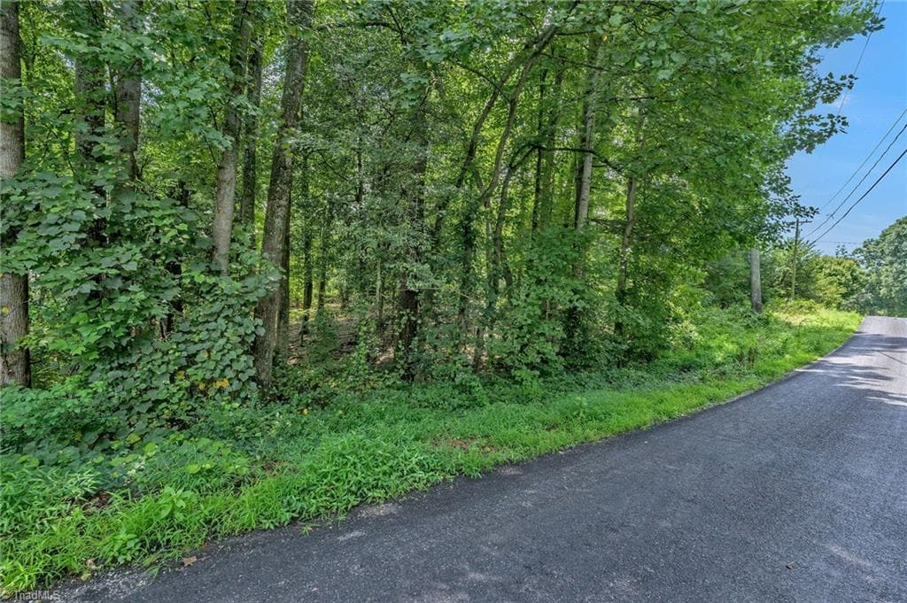 Unimproved Land at TBD Raven Oak Drive, Wilkesboro NC 28697, photo 5 of 14