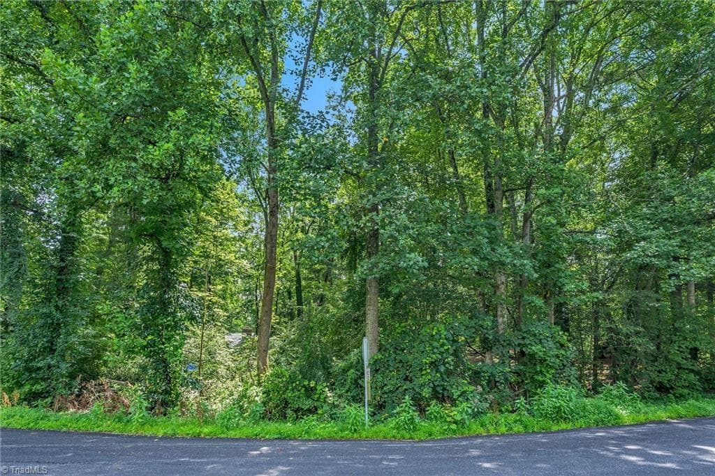 Unimproved Land at TBD Raven Oak Drive, Wilkesboro NC 28697, photo 9 of 14