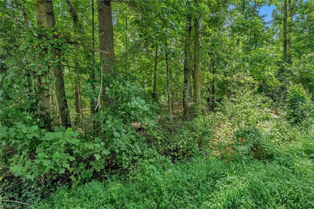 Unimproved Land at TBD Raven Oak Drive, Wilkesboro NC 28697, photo 4 of 14