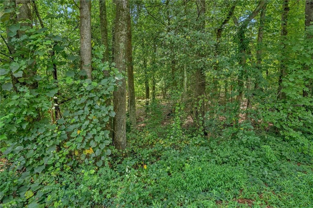 Unimproved Land at TBD Raven Oak Drive, Wilkesboro NC 28697, photo 8 of 14
