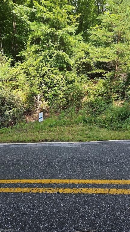 Unimproved Land at 0 Cane Creek Church Road, McGrady NC 28649, photo 2 of 4