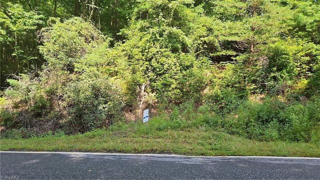 Unimproved Land at 0 Cane Creek Church Road, McGrady NC 28649, photo 3 of 4