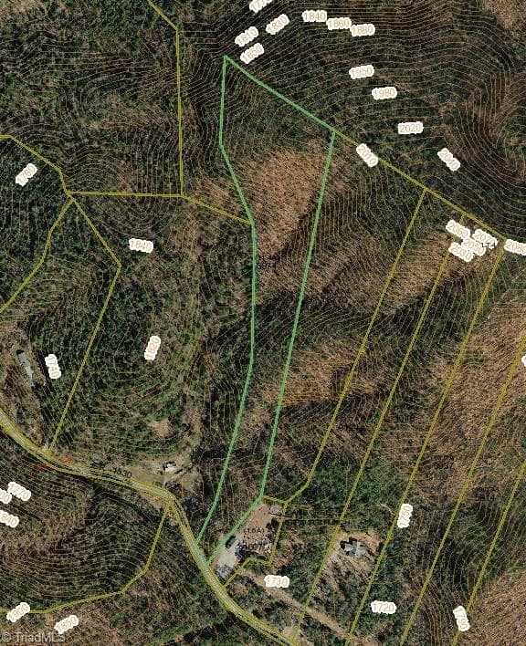 Unimproved Land at 0 Cane Creek Church Road, McGrady NC 28649, photo 4 of 4