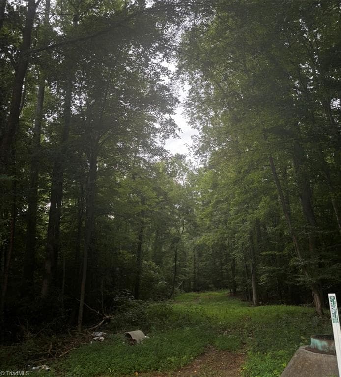 Unimproved Land at 0 Myers Street, Winston-Salem NC 27127, Winston-Salem, photo 45 of 48