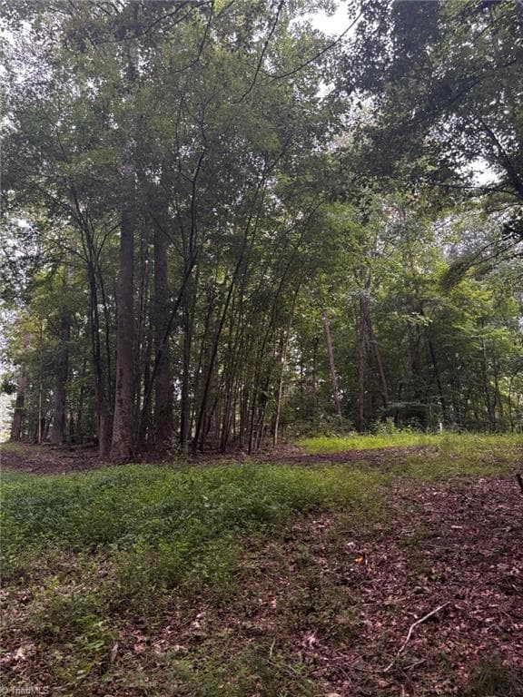Unimproved Land at 0 Myers Street, Winston-Salem NC 27127, Winston-Salem, photo 25 of 48