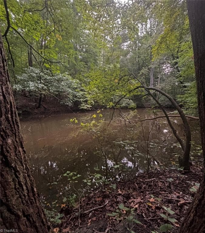 Unimproved Land at 0 Myers Street, Winston-Salem NC 27127, Winston-Salem, photo 33 of 48