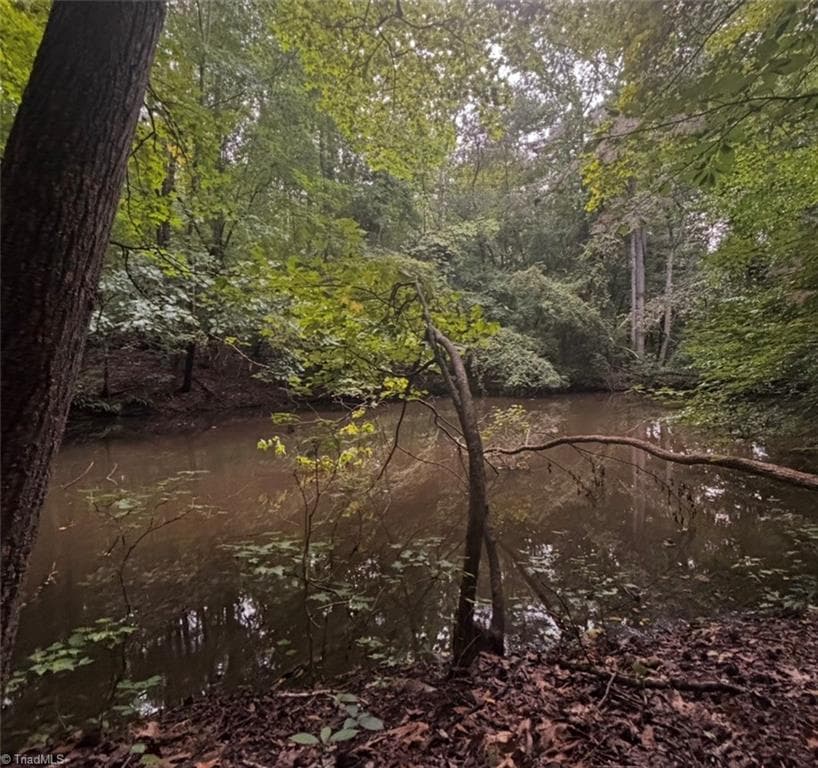 Unimproved Land at 0 Myers Street, Winston-Salem NC 27127, Winston-Salem, photo 31 of 48
