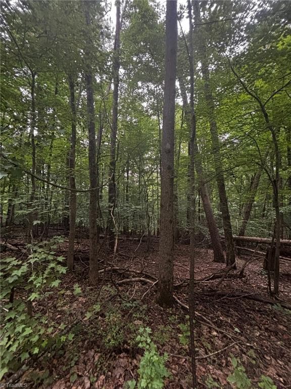 Unimproved Land at 0 Myers Street, Winston-Salem NC 27127, Winston-Salem, photo 23 of 48