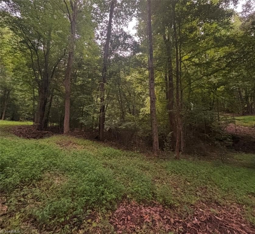 Unimproved Land at 0 Myers Street, Winston-Salem NC 27127, Winston-Salem, photo 43 of 48