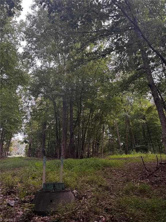 Unimproved Land at 0 Myers Street, Winston-Salem NC 27127, Winston-Salem, photo 39 of 48