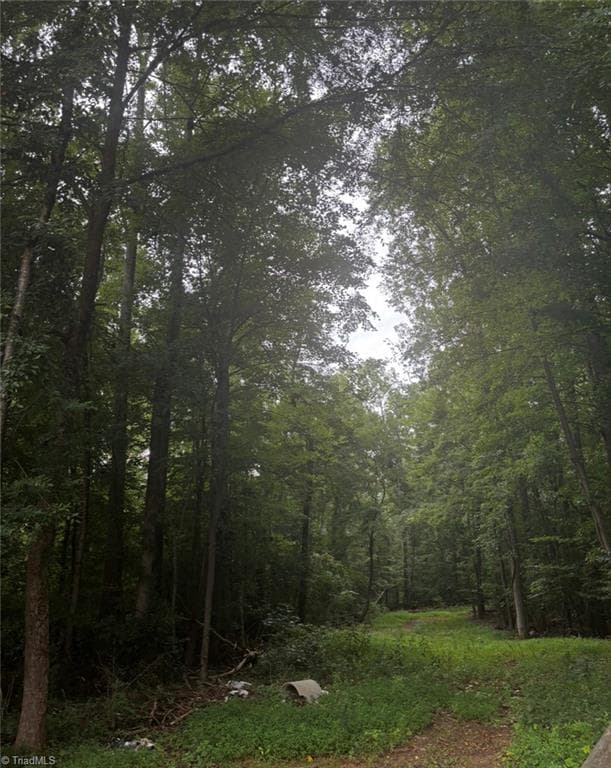 Unimproved Land at 0 Myers Street, Winston-Salem NC 27127, Winston-Salem, photo 47 of 48