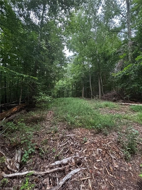 Unimproved Land at 0 Myers Street, Winston-Salem NC 27127, Winston-Salem, photo 19 of 48