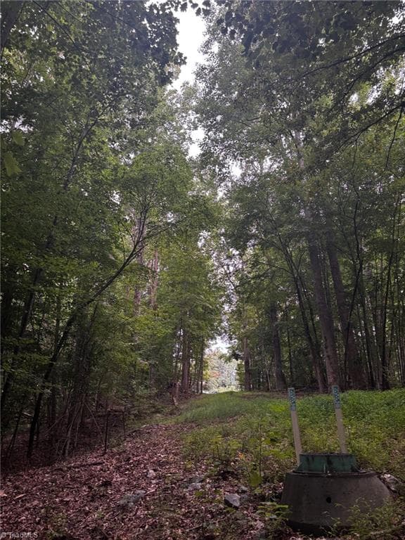 Unimproved Land at 0 Myers Street, Winston-Salem NC 27127, Winston-Salem, photo 27 of 48