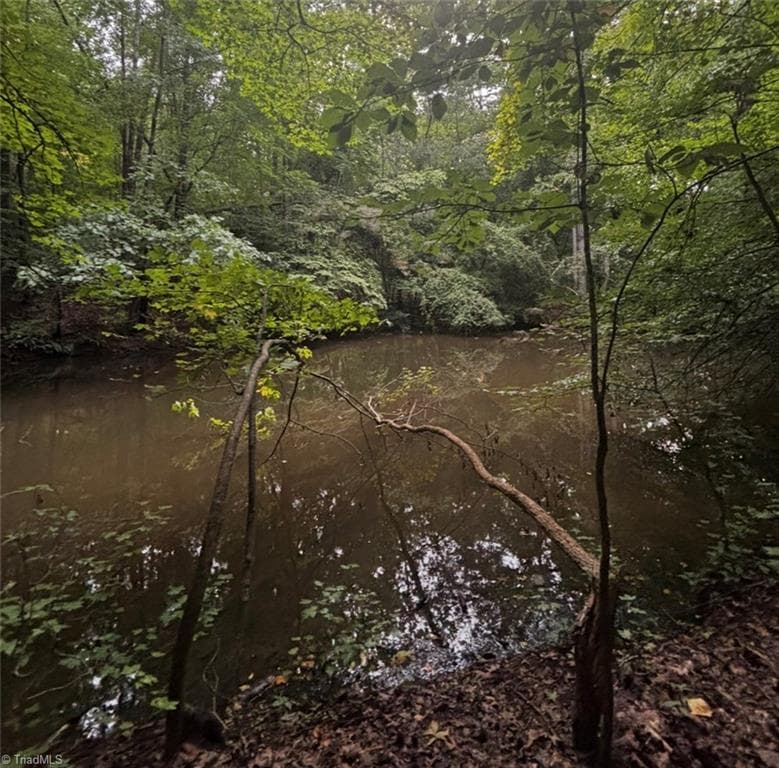 Unimproved Land at 0 Myers Street, Winston-Salem NC 27127, Winston-Salem, photo 35 of 48