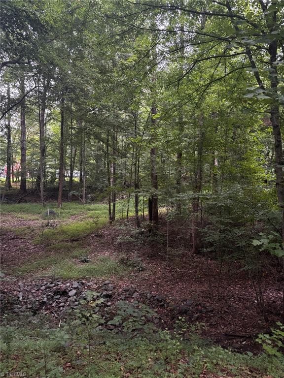 Unimproved Land at 0 Myers Street, Winston-Salem NC 27127, Winston-Salem, photo 29 of 48