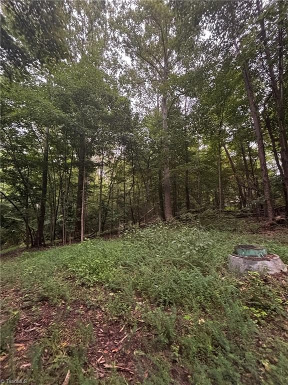 Unimproved Land at 0 Myers Street, Winston-Salem NC 27127, Winston-Salem, photo 21 of 48
