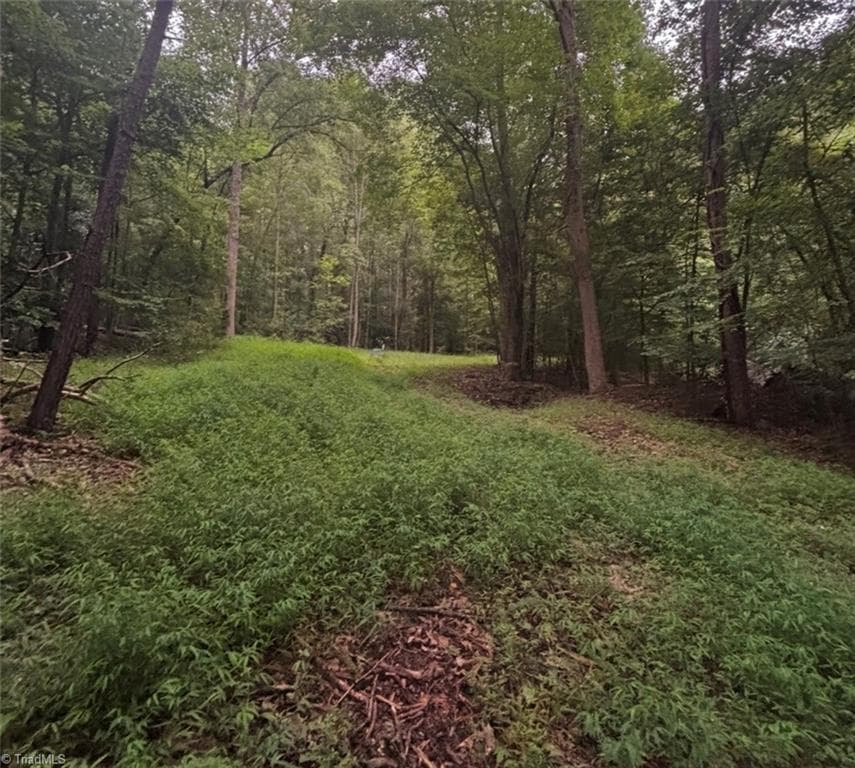 Unimproved Land at 0 Myers Street, Winston-Salem NC 27127, Winston-Salem, photo 41 of 48