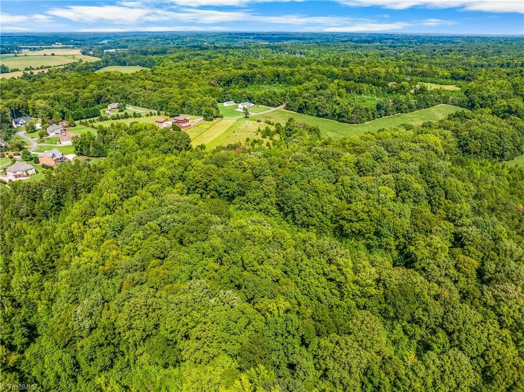 Unimproved Land at 0 Dorse Road, Lewisville NC 27023, photo 13 of 17