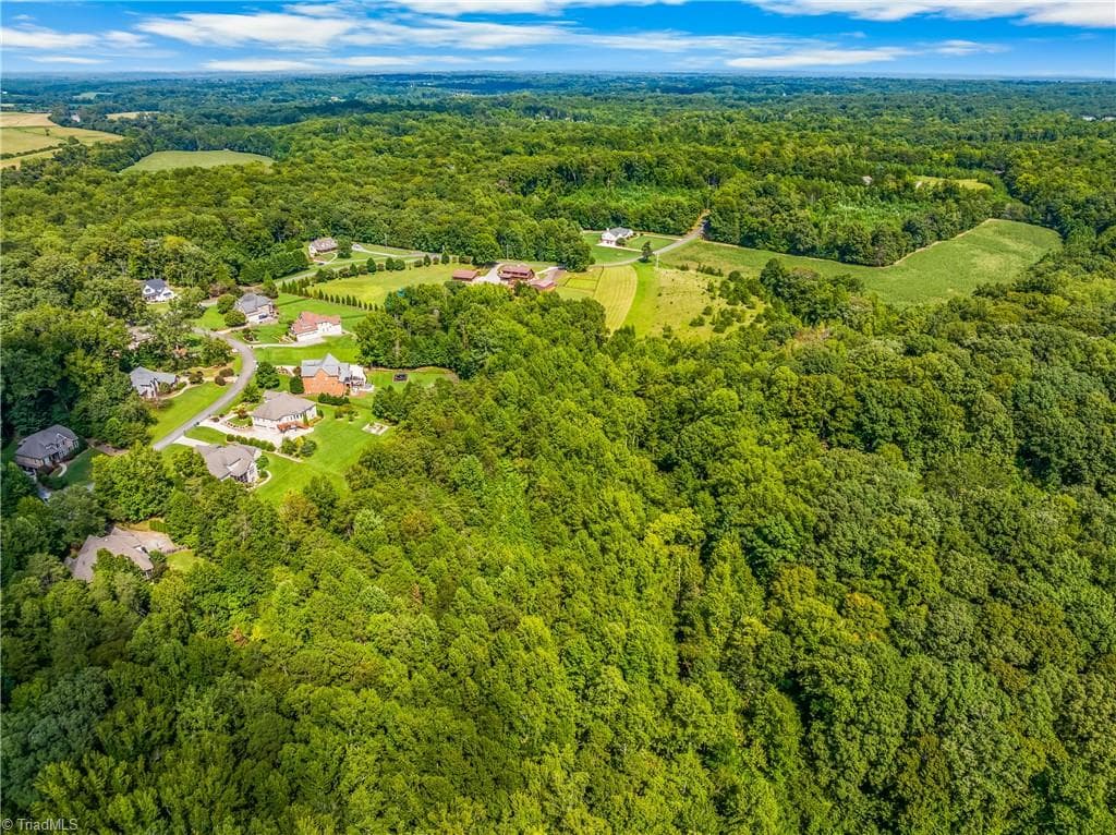 Unimproved Land at 0 Dorse Road, Lewisville NC 27023, photo 12 of 17