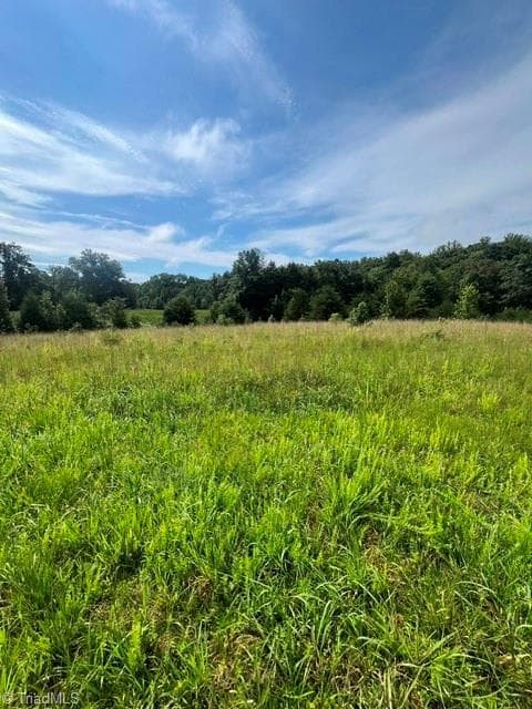 Unimproved Land at 0 Dorse Road, Lewisville NC 27023, photo 3 of 17